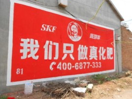 昌宁刷墙广告”蕴含了时代命题