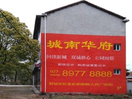 昌宁百分之90的人都不了解的农村墙体广告