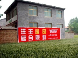 昌宁如何让墙体广告展现最大化效果