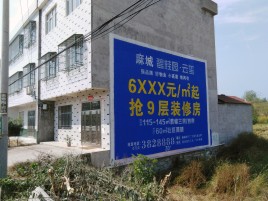 昌宁墙体广告质量分析