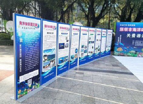 昌宁KT板的种类和知识。